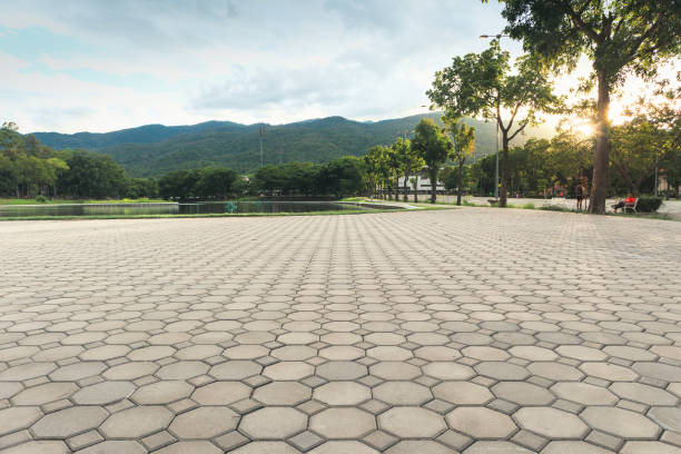 Best Residential Driveway Paver Services  in Waxahachie, TX
